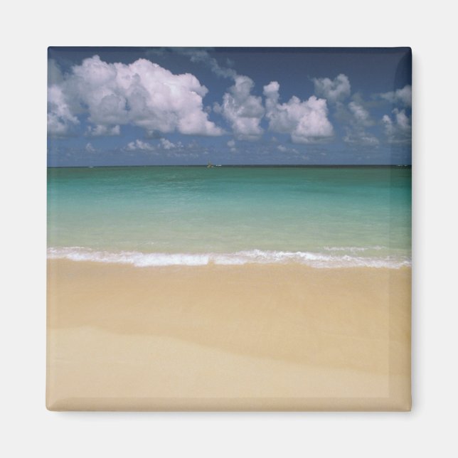 Imán EE. UU., Hawái. Escena de playa (Frente)