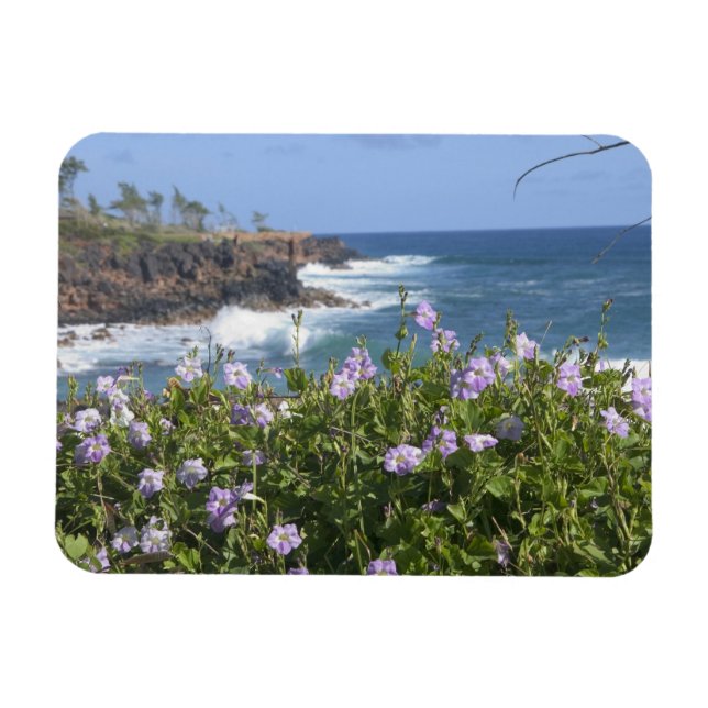 Imán EE. UU., Hawái, Kauai, cerca de Kapaa, noroeste (Horizontal)
