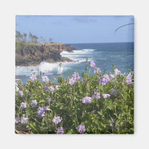 Imán EE. UU., Hawái, Kauai, cerca de Kapaa, noroeste