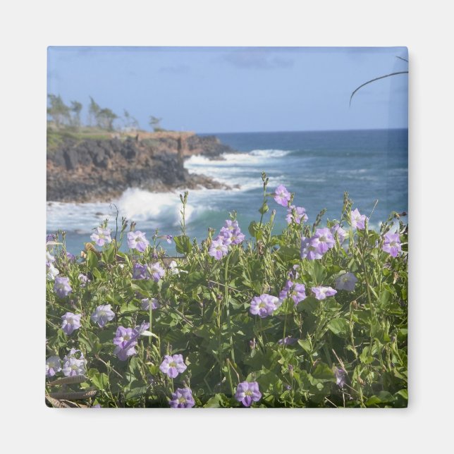 Imán EE. UU., Hawái, Kauai, cerca de Kapaa, noroeste (Frente)