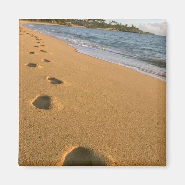 Imán EE. UU., Hawái, Kauai, Kapa'a, frente a la playa. (Frente)