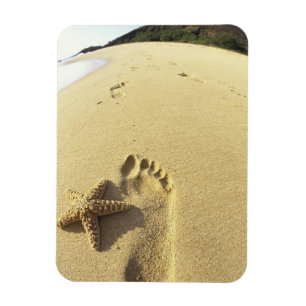 Imán EE. UU., Hawái, Maui, Makena Beach, Huella y