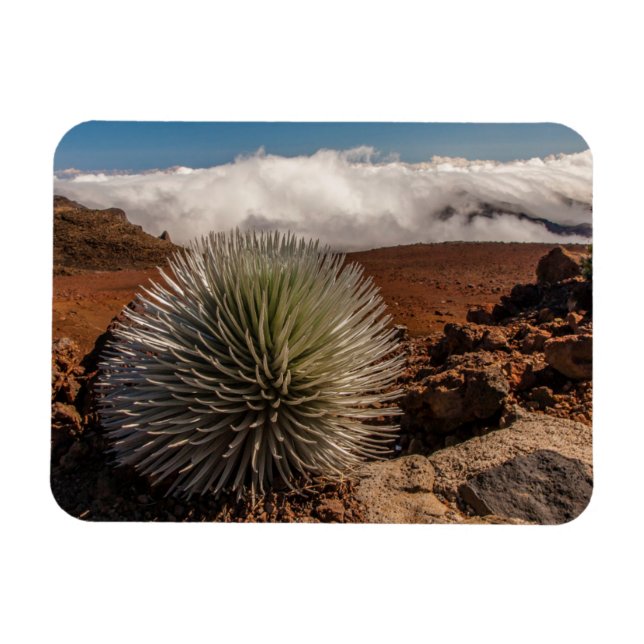 Imán EE. UU., Hawái, Maui, Parque Nacional Haleakala (Horizontal)