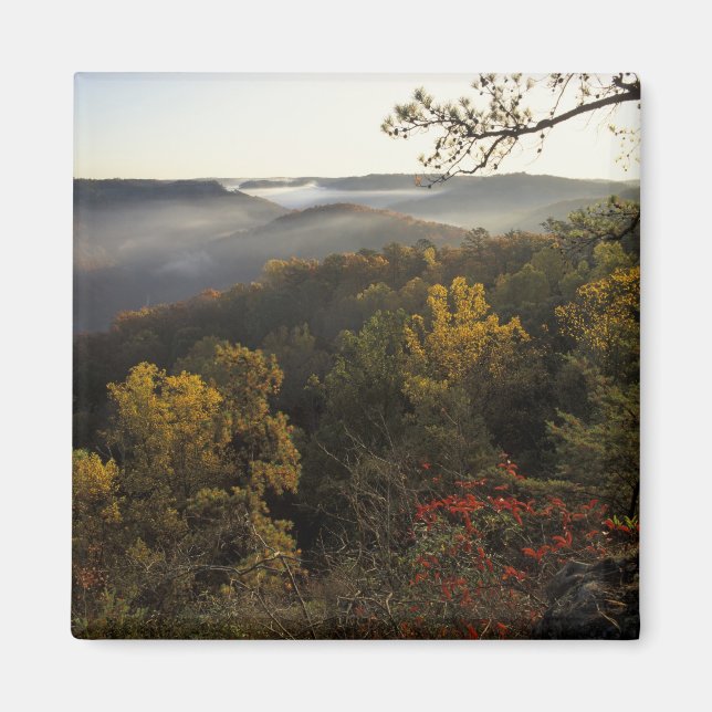 Imán EE.UU., Kentucky. Bosque Nacional Daniel Boone. (Frente)