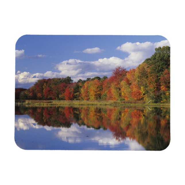 Imán EE. UU., Massachusetts, Acton. Reflejo de otoño (Horizontal)