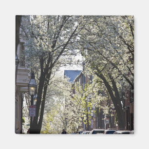 Imán EE.UU., Massachusetts, Boston, Beacon Hill.