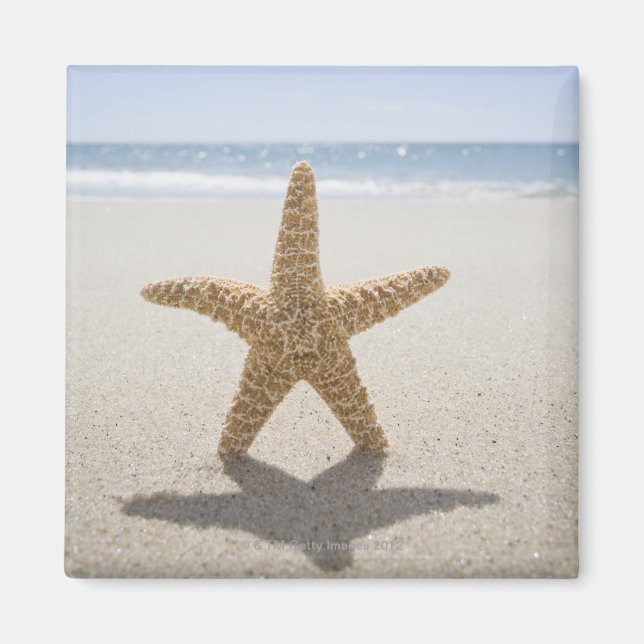 Imán EE.UU., Massachusetts, Cape Cod, Nantucket, cerca (Frente)