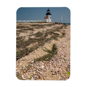 Imán EE. UU., Massachusetts, Nantucket. Concha