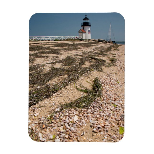 Imán EE. UU., Massachusetts, Nantucket. Concha (Vertical)