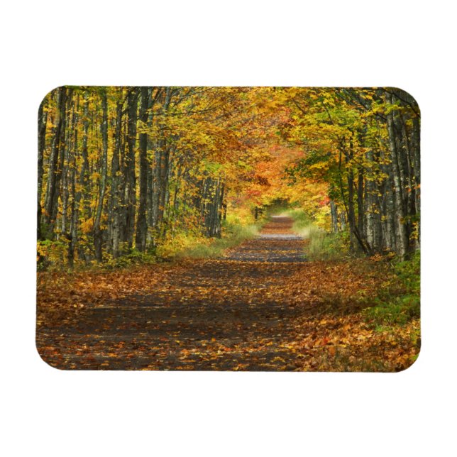 Imán EE. UU., Michigan, Península Superior. Carretera h (Horizontal)
