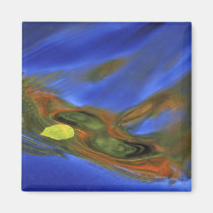 Imán EE.UU., Michigan, península superior, hoja de abe