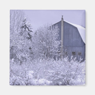 Imán EE. UU., Michigan, Rochester Hills. Azul nevado