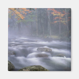 Imán EE.UU., Nueva York, Adirondacks, río Big Moose