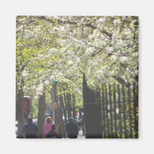 Imán EE. UU., Nueva York, Ciudad de Nueva York, Manhatt