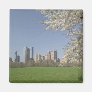 Imán EE.UU., Nueva York, Nueva York, Manhattan:19