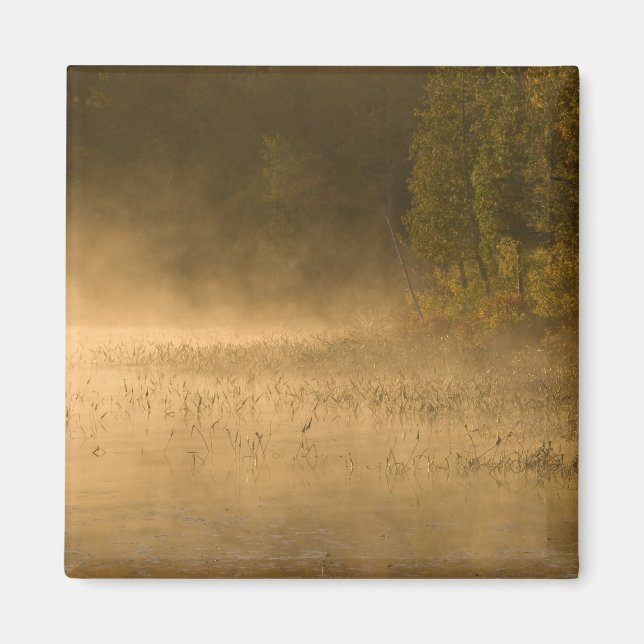 Imán EE.UU., Nueva York, Parque Adirondack. La niebla d (Frente)
