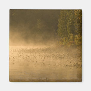 Imán EE. UU., Nueva York, Parque Adirondack. Niebla al 