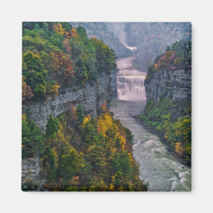 Imán EE. UU., Nueva York, Parque Estatal Letchworth. Rí