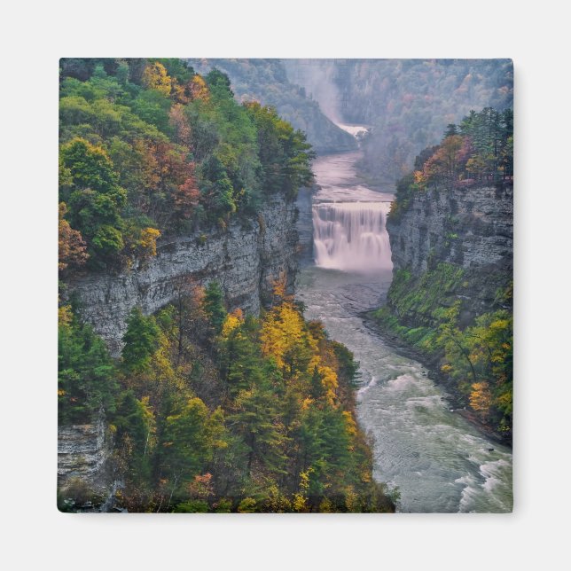 Imán EE. UU., Nueva York, Parque Estatal Letchworth. Rí (Frente)