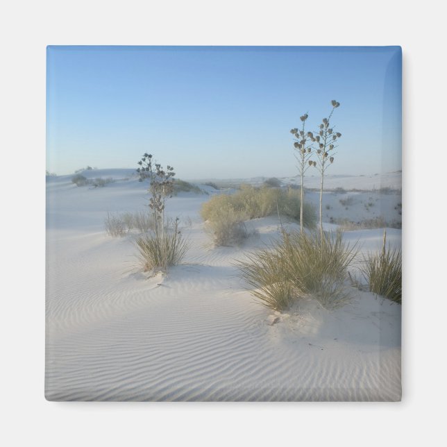 Imán EE. UU., Nuevo México, White Sands National 2 (Frente)