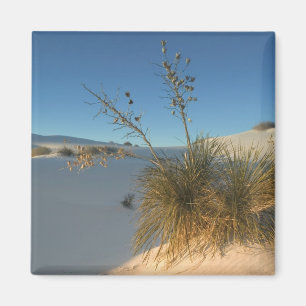 Imán EE. UU., Nuevo México, White Sands National 3