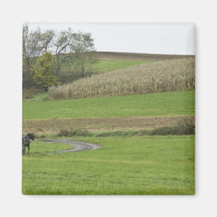 Imán EE. UU., Ohio nororiental. Carruaje Amish en granj