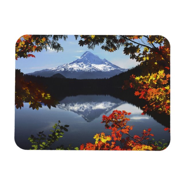 Imán EE. UU., Oregón, Bosque Nacional Mt. Hood. (Horizontal)