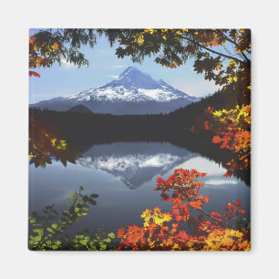 Imán EE. UU., Oregón, Bosque Nacional Mt. Hood.