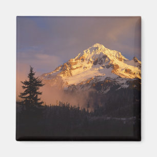 Imán EE.UU., Oregón, Bosque Nacional Mt. Hood. Rolling