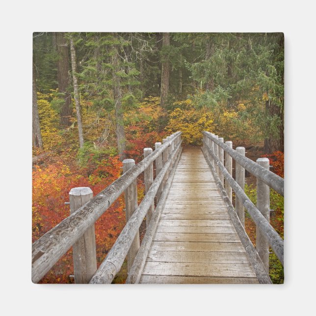 Imán EE.UU., Oregón, Bosque Nacional Willamette. (Frente)