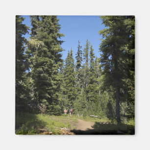 Imán EE. UU., Oregón, Bosque Nacional Willamette, Otoño