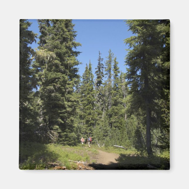 Imán EE. UU., Oregón, Bosque Nacional Willamette, Otoño (Frente)
