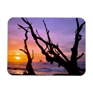 Imán EE. UU., Oregón, Cape Meares. Atardecer