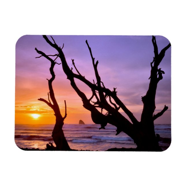 Imán EE. UU., Oregón, Cape Meares. Atardecer (Horizontal)