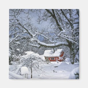 Imán EE. UU., Oregón, condado de Clackamas. Nieve fresc