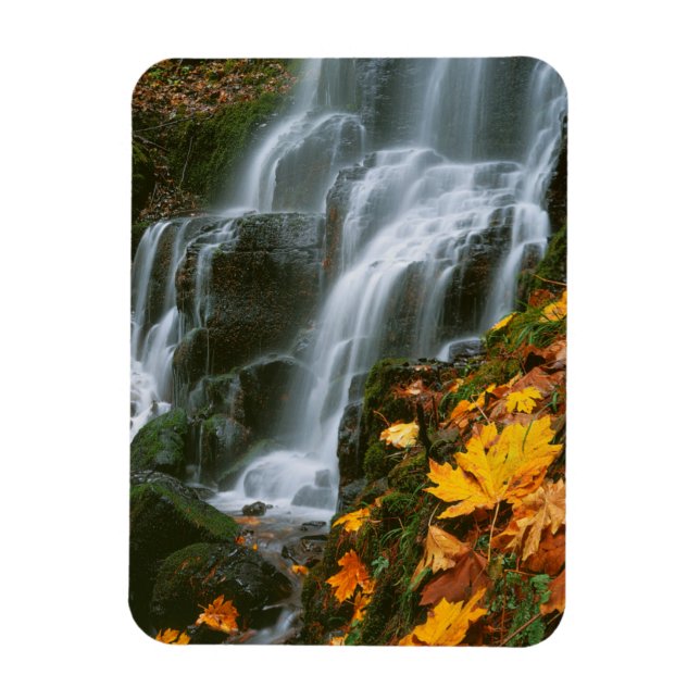 Imán EE. UU., Oregón, Fairy Falls, Columbia River Gorge (Vertical)