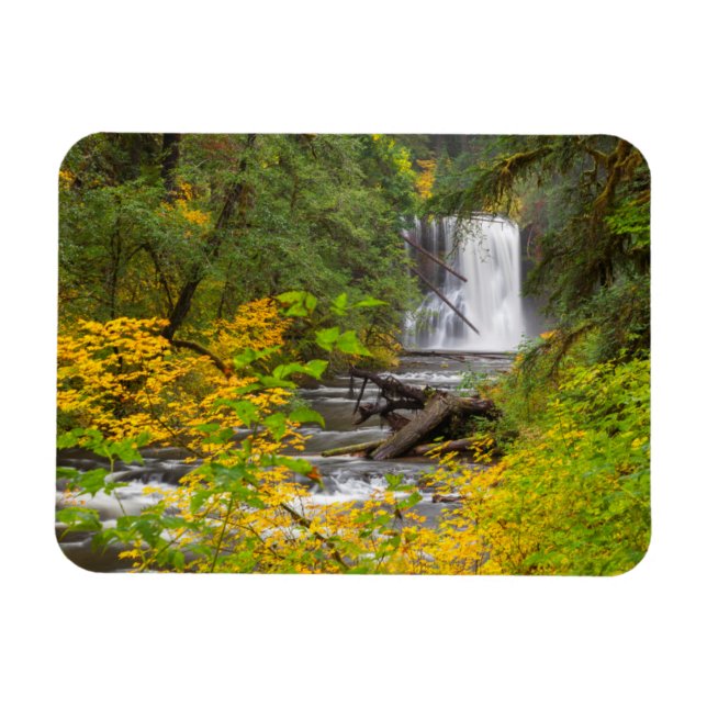 Imán EE.UU., Oregón, Parque Estatal Silver Falls 2 (Horizontal)