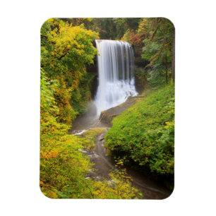Imán EE. UU., Oregón, Parque Estatal Silver Falls 3