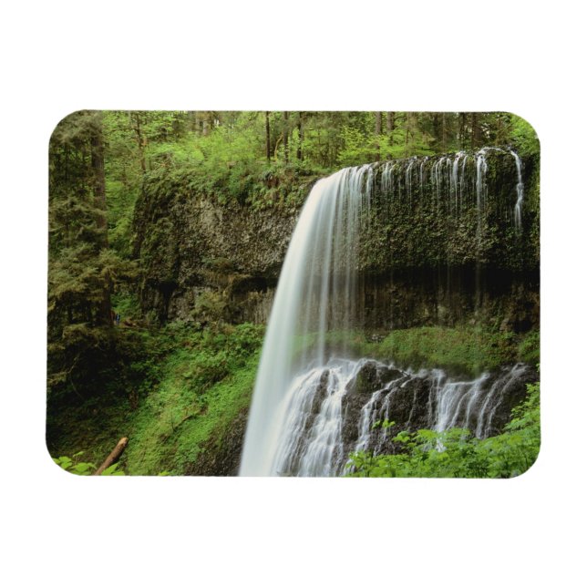 Imán EE. UU., Oregón, Parque Estatal Silver Falls. Infe (Horizontal)