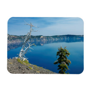 Imán EE.UU., Oregón, Parque Nacional Crater Lake 4