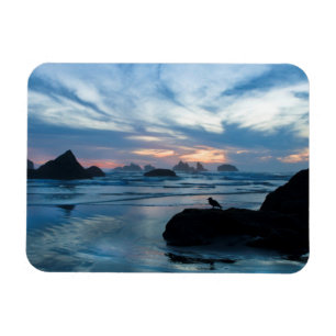 Imán EE. UU., Oregón, playa de Bandon. Gaviota en roca