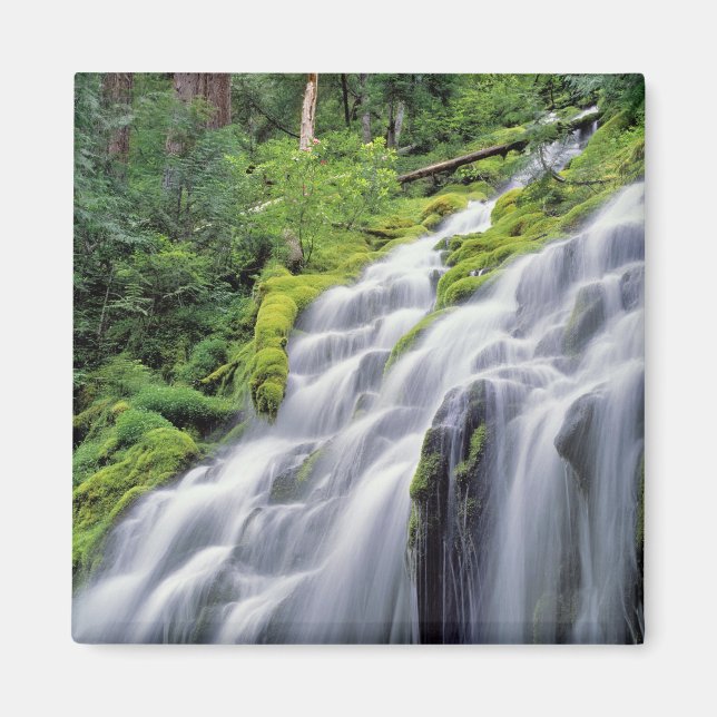 Imán EE. UU., Oregón, Proxy Falls. Proxy Falls se preci (Frente)