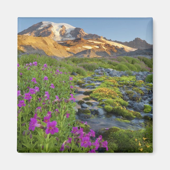 Imán EE. UU., Parque Nacional Mt. Rainier, Washington. (Frente)