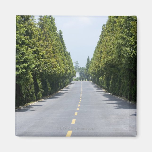 Imán EE.UU., Parque nacional Yellowstone, carretera en  (Frente)