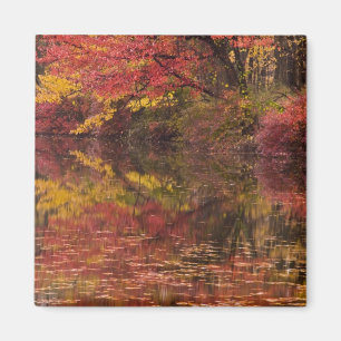 Imán EE.UU., Pennsylvania, Delaware Water Gap National