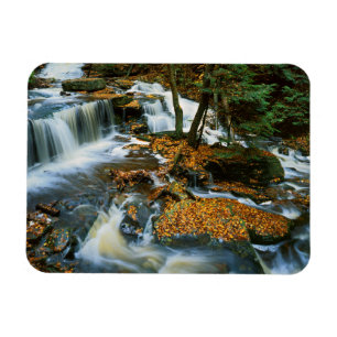 Imán EE. UU., Pensilvania, Parque Estatal Ricketts Glen