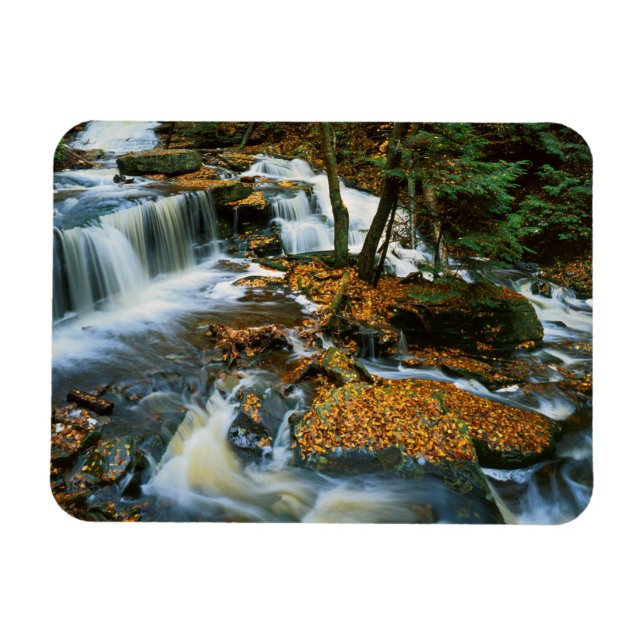 Imán EE. UU., Pensilvania, Parque Estatal Ricketts Glen (Horizontal)