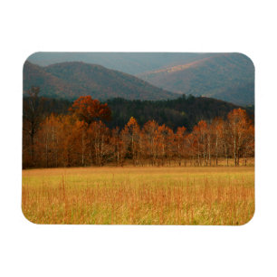 Imán EE. UU., Tennessee. Cades Cove en Smoky Mountain