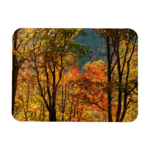 Imán EE. UU., Tennessee. Follaje de otoño