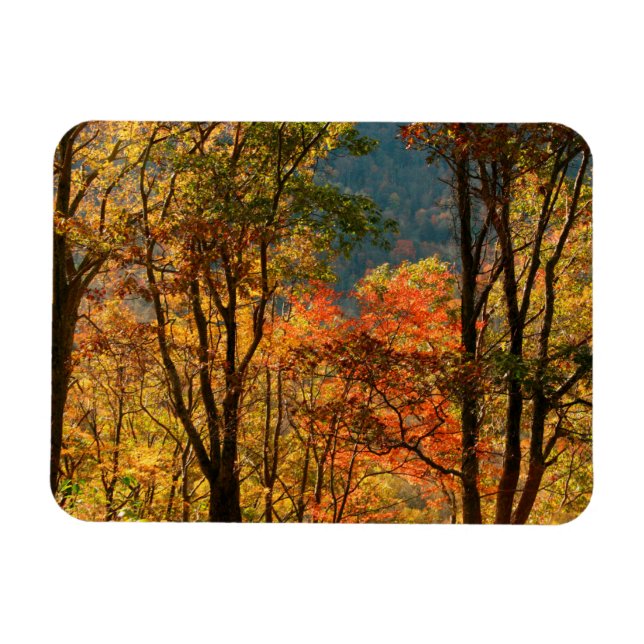 Imán EE. UU., Tennessee. Follaje de otoño (Horizontal)